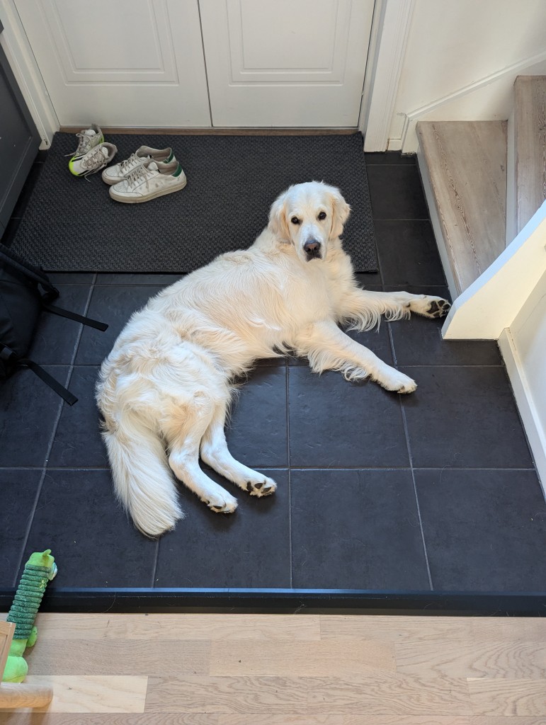 Väntar på dig i hallen