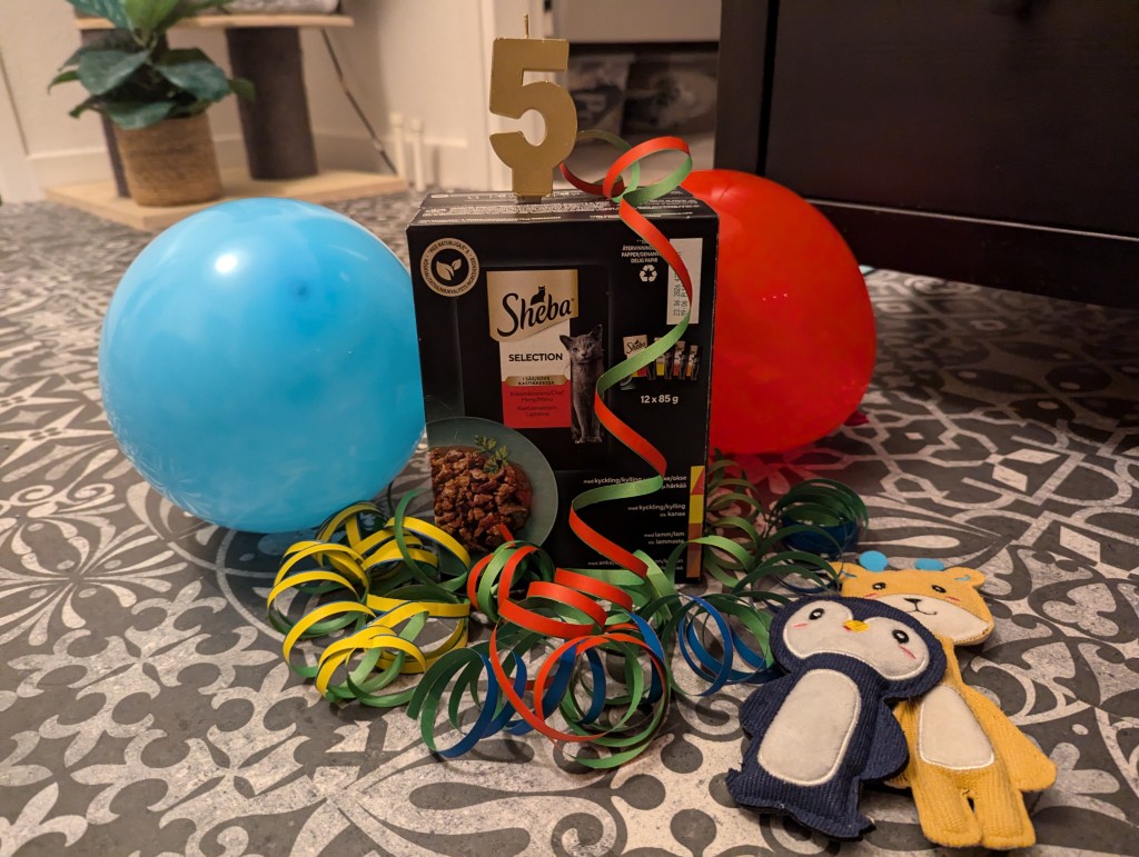 Massa fina presenter